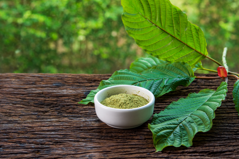 Kratom plant and powder